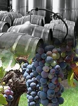 GM Supply Chain Solutions Clients